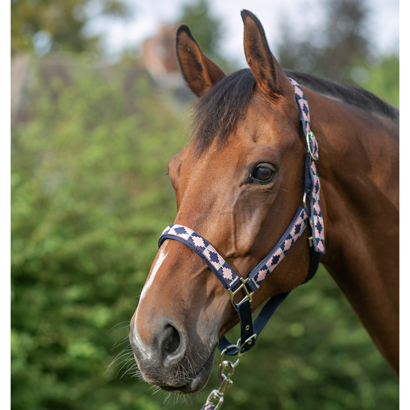 Hy Equestrian Woven Polo Headcollar and Leadrope - Navy/Rose-1